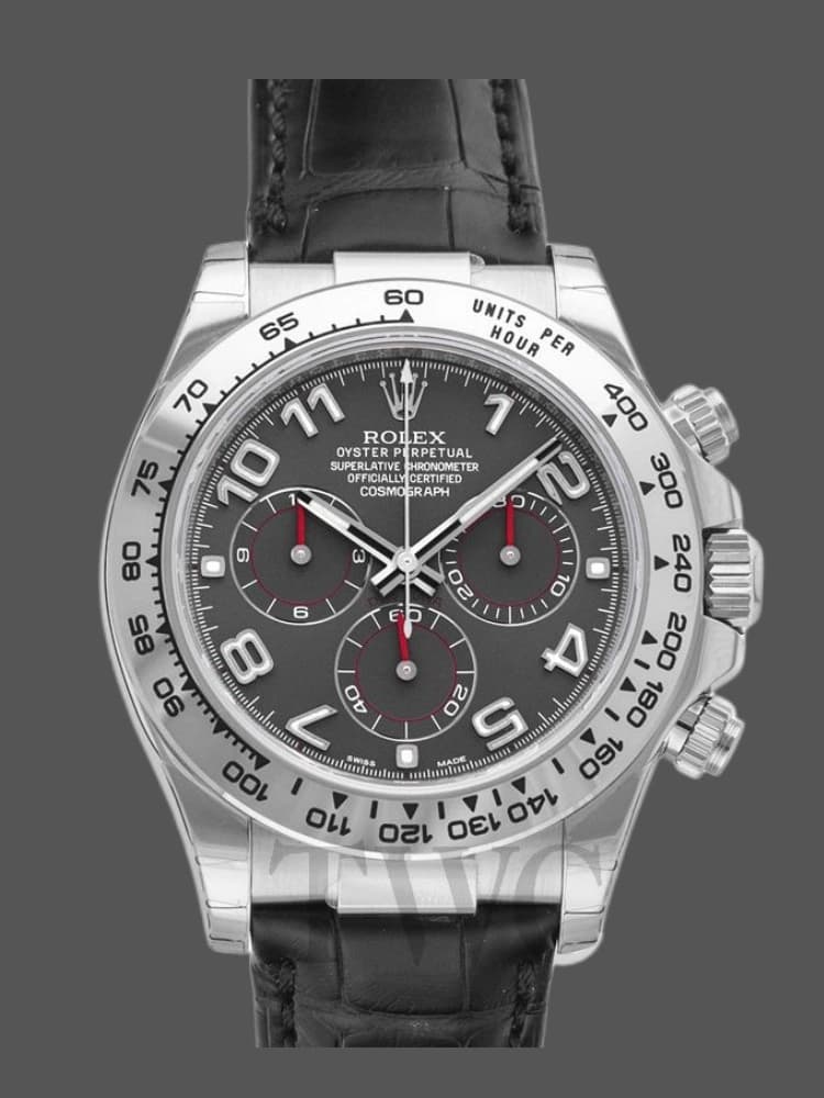 Rolex Daytona — view 1